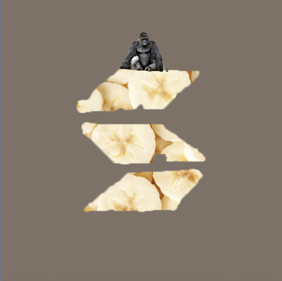 SOLNANA Logo